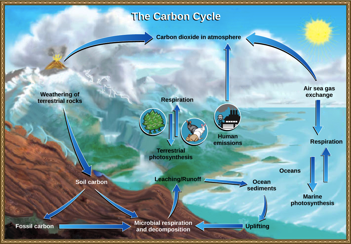 Rock Weathering: A Natural Carbon Cycle